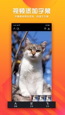 字幕君app手机版截图1