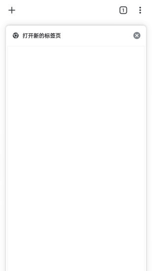 谷歌浏览器清爽版截图3